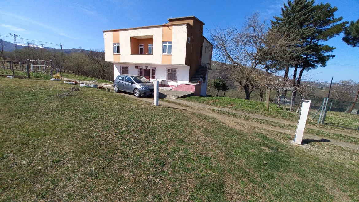 BEŞİKDÜZÜ VARDALLI'DA SATILIK 8.200 M2 BAHÇE