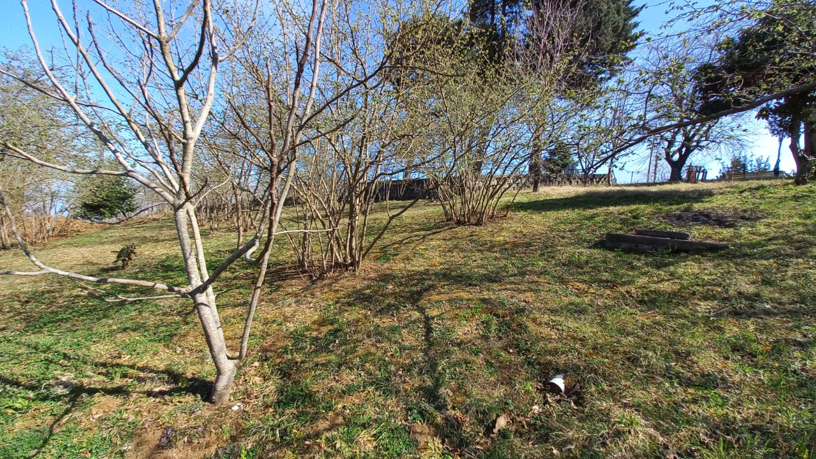 BEŞİKDÜZÜ VARDALLI'DA SATILIK 8.200 M2 BAHÇE