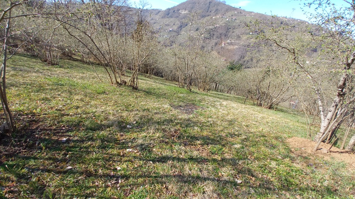 BEŞİKDÜZÜ VARDALLI'DA SATILIK 8.200 M2 BAHÇE