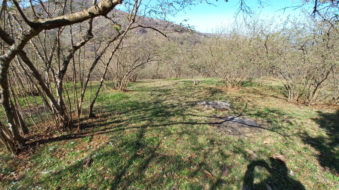 BEŞİKDÜZÜ VARDALLI'DA SATILIK 8.200 M2 BAHÇE