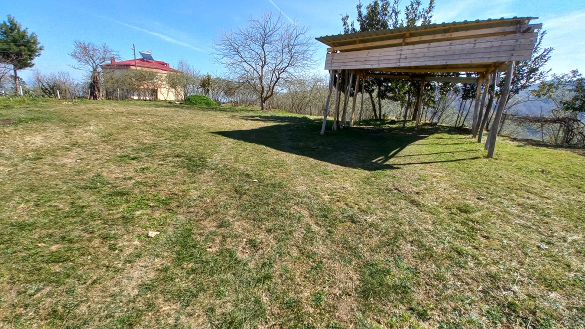 BEŞİKDÜZÜ VARDALLI'DA SATILIK 8.200 M2 BAHÇE