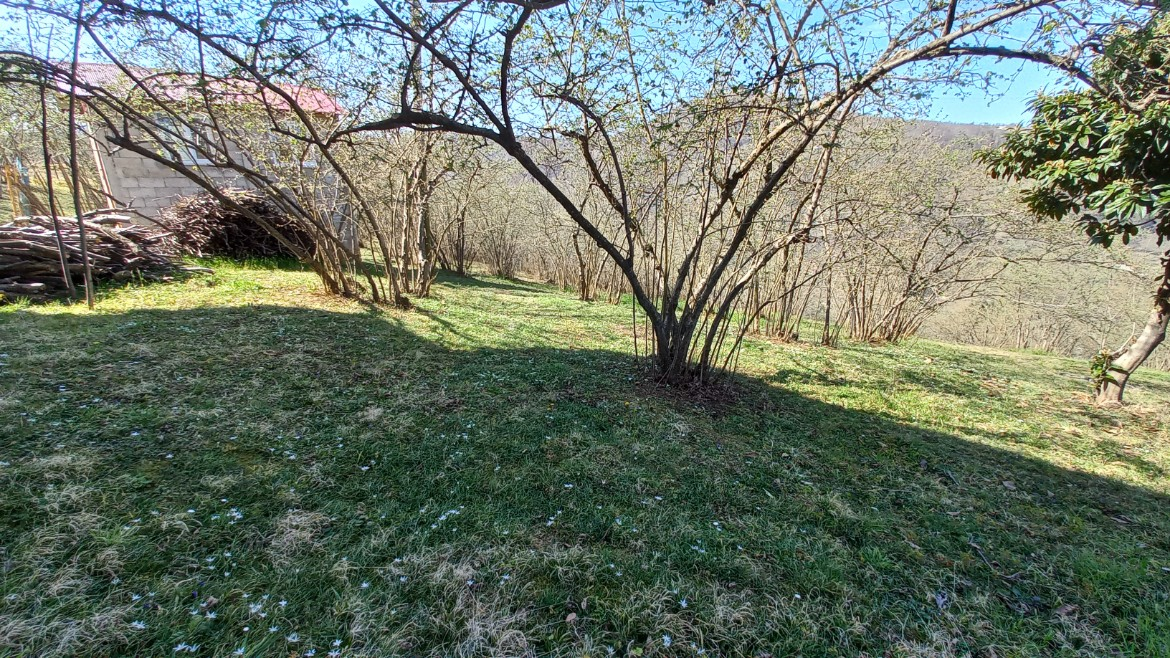 BEŞİKDÜZÜ VARDALLI'DA SATILIK 8.200 M2 BAHÇE