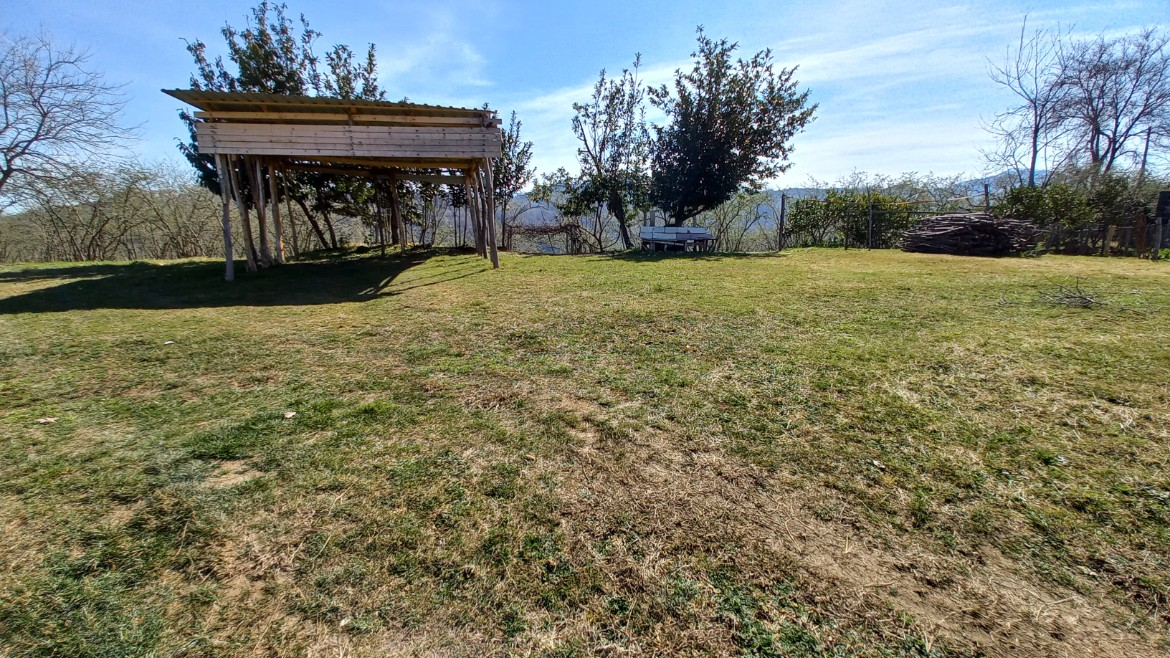 BEŞİKDÜZÜ VARDALLI'DA SATILIK 8.200 M2 BAHÇE