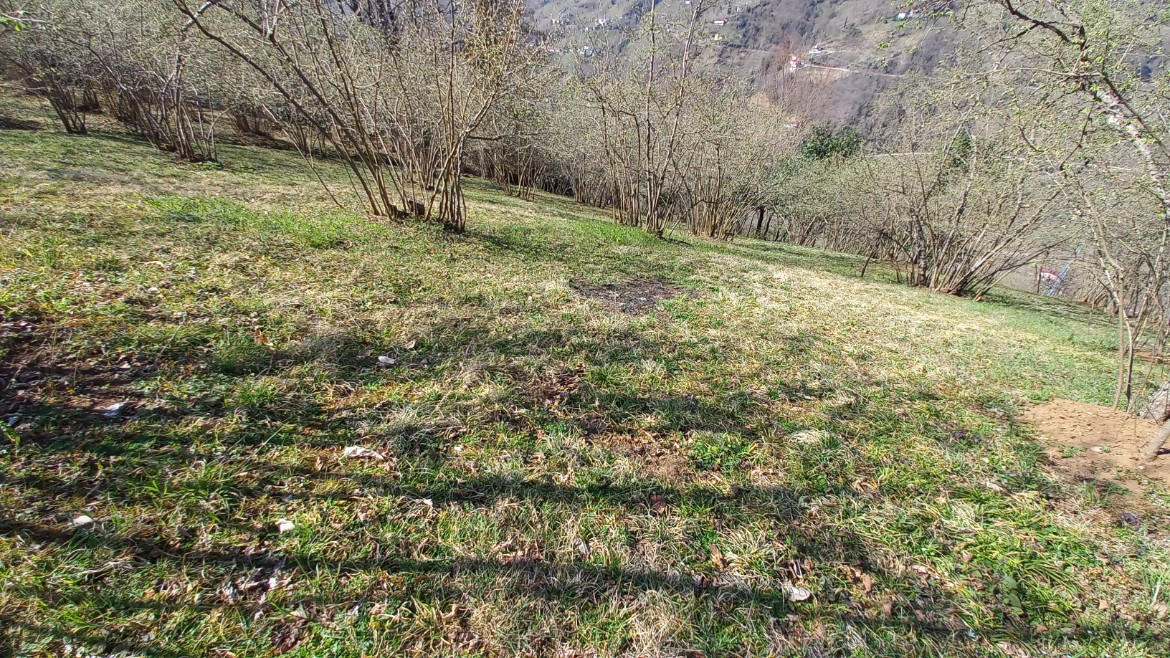 BEŞİKDÜZÜ VARDALLI'DA SATILIK 8.200 M2 BAHÇE