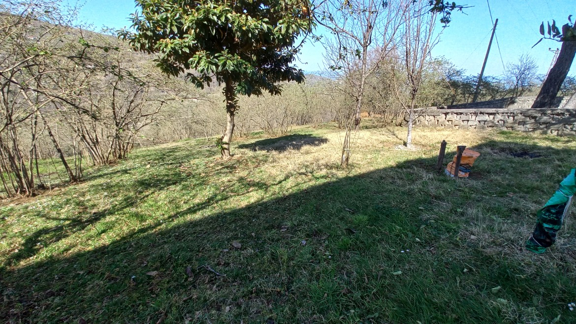 BEŞİKDÜZÜ VARDALLI'DA SATILIK 8.200 M2 BAHÇE