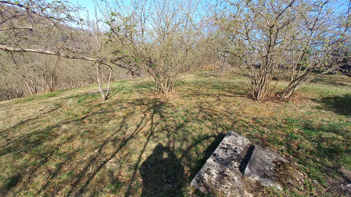 BEŞİKDÜZÜ VARDALLI'DA SATILIK 8.200 M2 BAHÇE