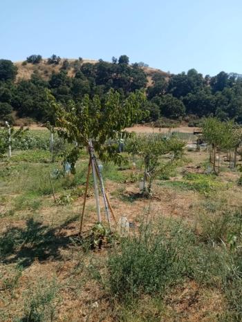 Bandırma emlaktan Bandırma'da Satılık Hobi Bahçesi 