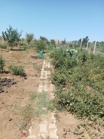 Bandırma emlaktan Bandırma'da Satılık Hobi Bahçesi 