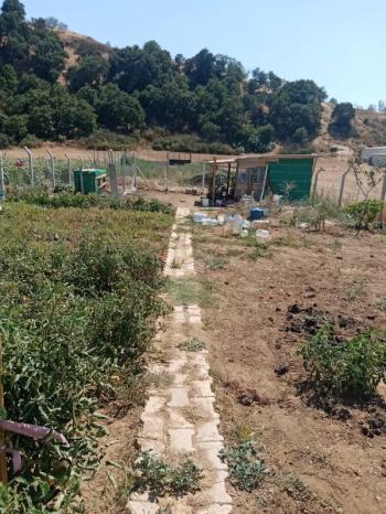 Bandırma emlaktan Bandırma'da Satılık Hobi Bahçesi 