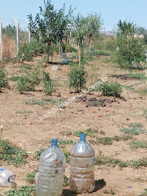 Bandırma emlaktan Bandırma'da Satılık Hobi Bahçesi 