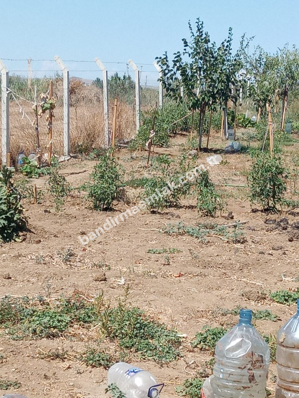 Bandırma emlaktan Bandırma'da Satılık Hobi Bahçesi 