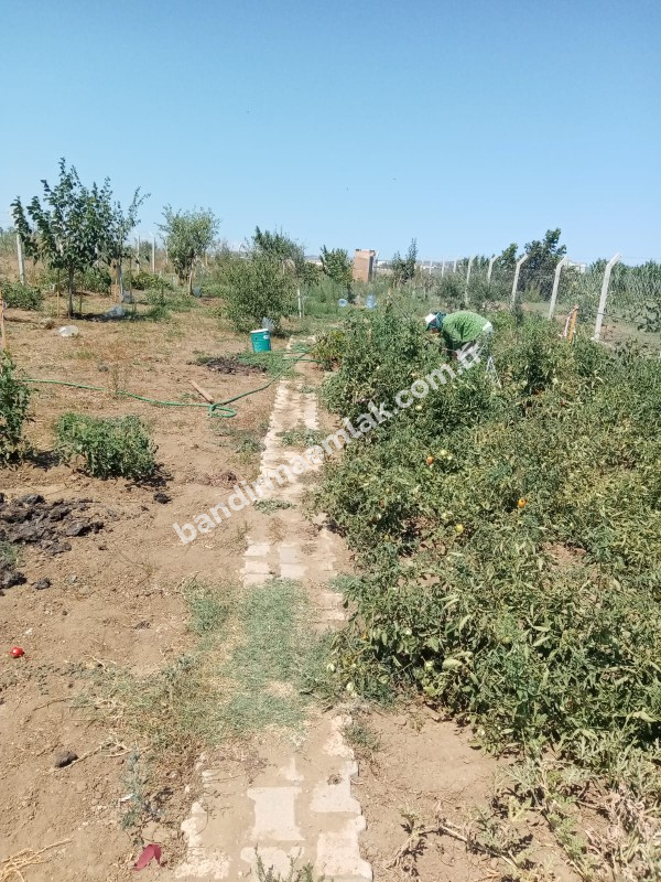 Bandırma emlaktan Bandırma'da Satılık Hobi Bahçesi 