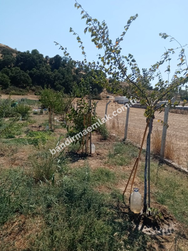 Bandırma emlaktan Bandırma'da Satılık Hobi Bahçesi 