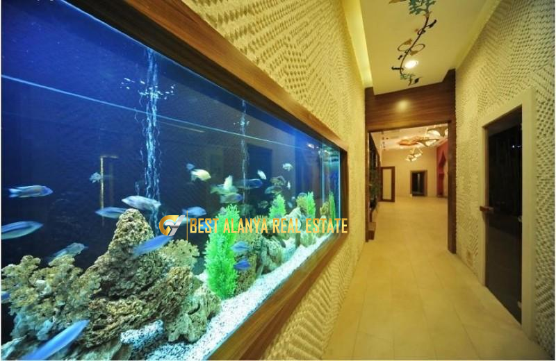 Azura Park Kiralık 1+1 Eşyalı Daire Alanya Mahmutlar