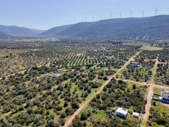 Didim Kardelende Satılık En Mantıklı Cazip Fiyat 300m2 Arsa