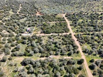 Didim Kardelende Satılık En Mantıklı Cazip Fiyat 300m2 Arsa