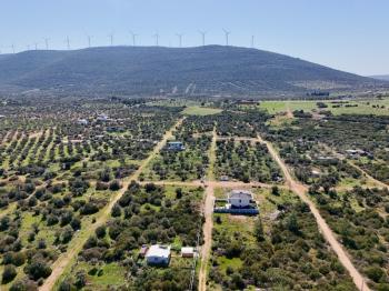 Didim Kardelende Satılık En Mantıklı Cazip Fiyat 300m2 Arsa