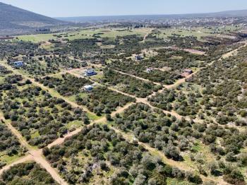 Didim Kardelende Satılık En Mantıklı Cazip Fiyat 300m2 Arsa