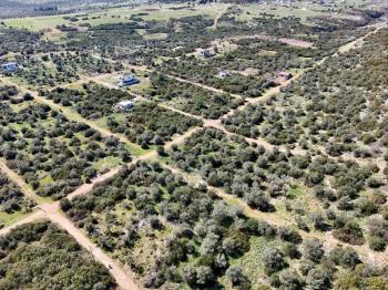 Didim Kardelende Satılık En Mantıklı Cazip Fiyat 300m2 Arsa