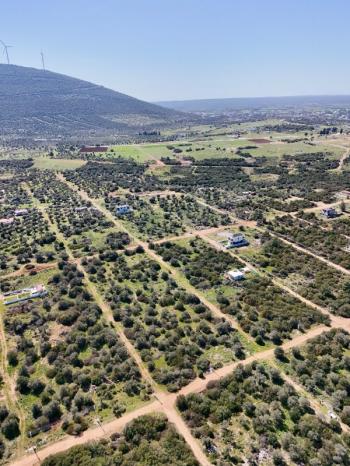 Didim Kardelende Satılık En Mantıklı Cazip Fiyat 300m2 Arsa