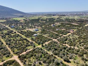 Didim Kardelende Satılık En Mantıklı Cazip Fiyat 300m2 Arsa