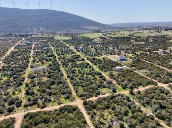 Didim Kardelende Satılık En Mantıklı Cazip Fiyat 300m2 Arsa