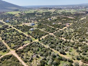 Didim Kardelende Satılık En Mantıklı Cazip Fiyat 300m2 Arsa