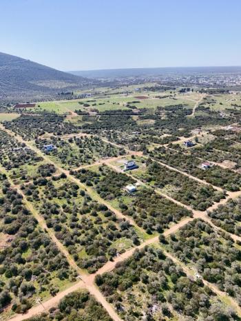 Didim Kardelende Satılık En Mantıklı Cazip Fiyat 300m2 Arsa