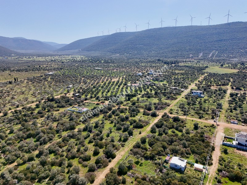 Didim Kardelende Satılık En Mantıklı Cazip Fiyat 300m2 Arsa