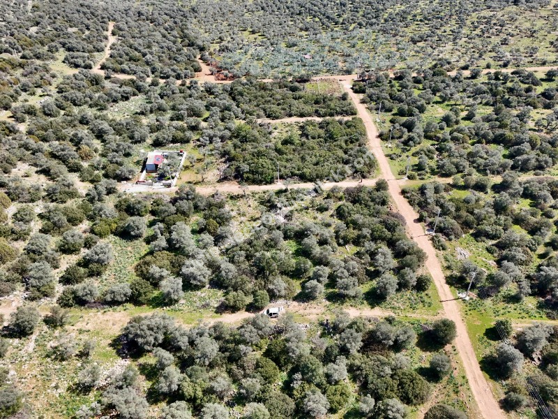 Didim Kardelende Satılık En Mantıklı Cazip Fiyat 300m2 Arsa