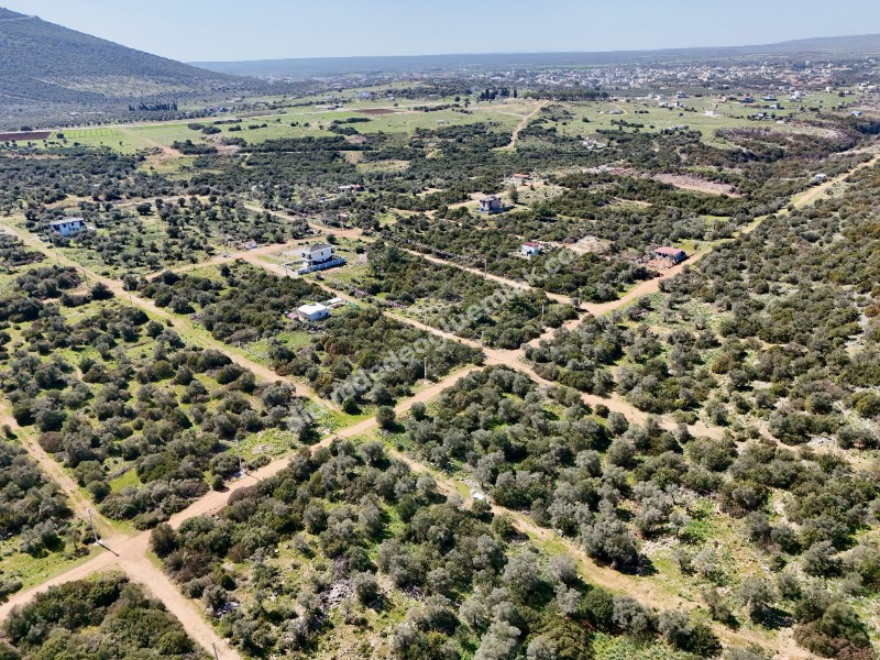 Didim Kardelende Satılık En Mantıklı Cazip Fiyat 300m2 Arsa