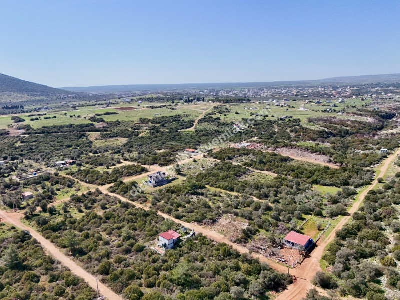 Didim Kardelende Satılık En Mantıklı Cazip Fiyat 300m2 Arsa