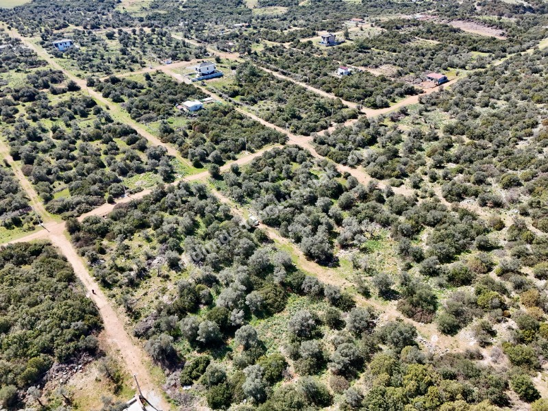 Didim Kardelende Satılık En Mantıklı Cazip Fiyat 300m2 Arsa