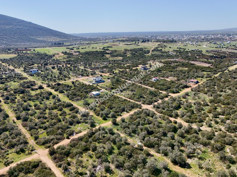 Didim Kardelende Satılık En Mantıklı Cazip Fiyat 300m2 Arsa