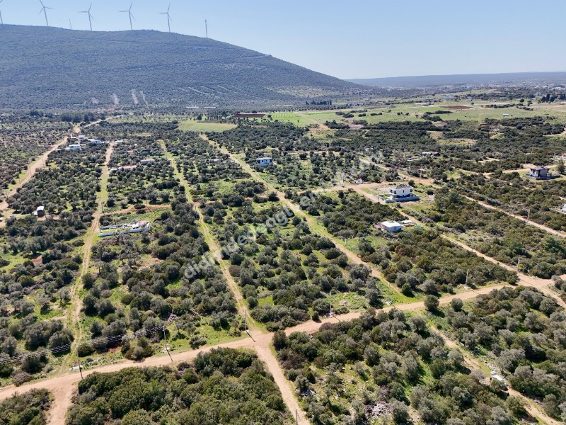 Didim Kardelende Satılık En Mantıklı Cazip Fiyat 300m2 Arsa