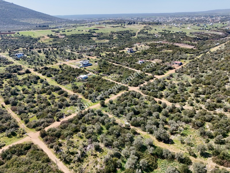 Didim Kardelende Satılık En Mantıklı Cazip Fiyat 300m2 Arsa