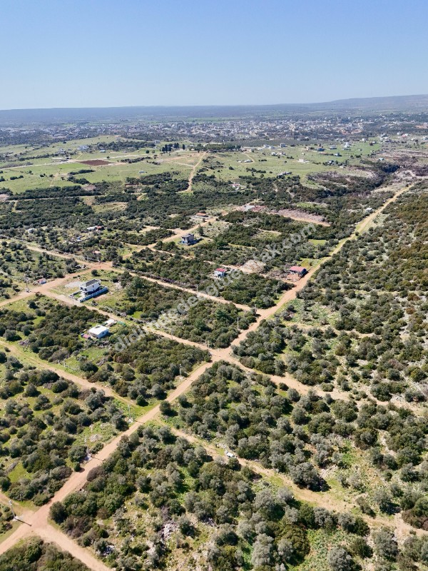 Didim Kardelende Satılık En Mantıklı Cazip Fiyat 300m2 Arsa