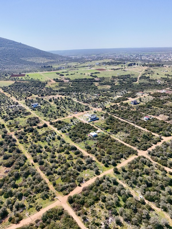 Didim Kardelende Satılık En Mantıklı Cazip Fiyat 300m2 Arsa