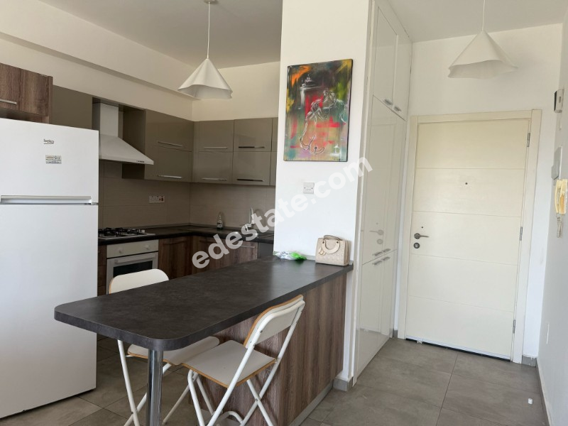 Lefkoşa Kumsal Bölgesinde Full Eşyalı Kiralık 2+1 Daire