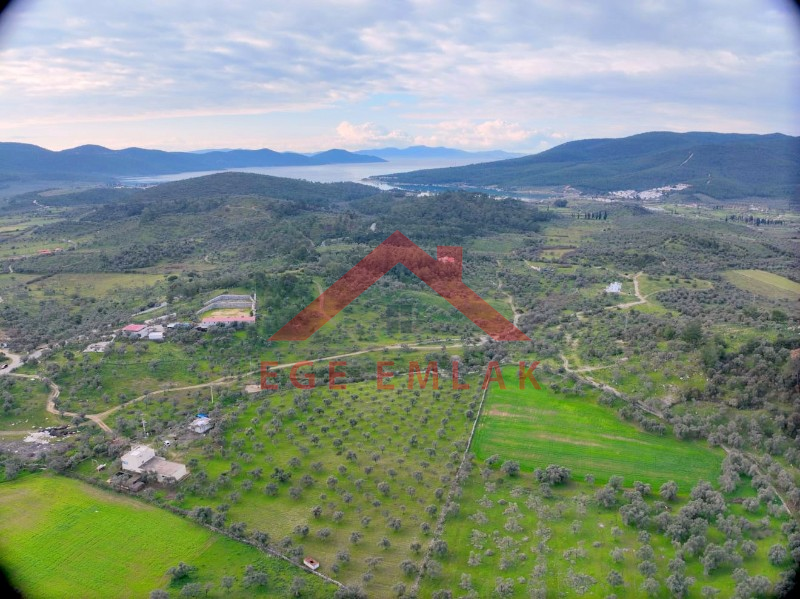 Kazıklıda Satılık Arazi