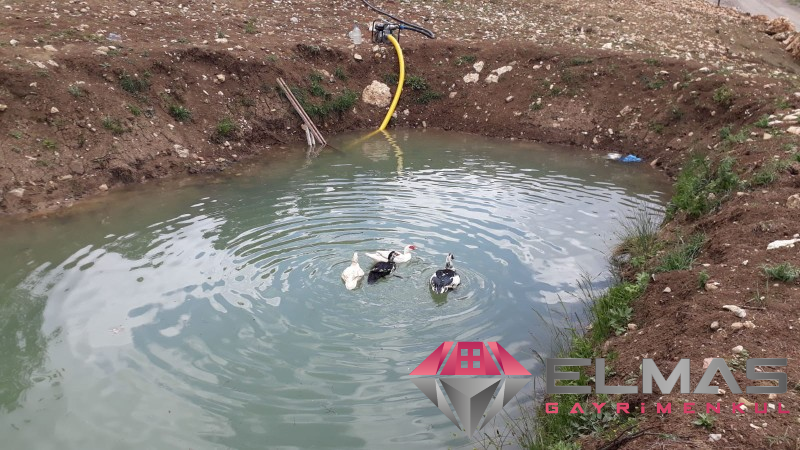 Elmas'tan Arslanköy’de Doğa Manzaralı Yatırımlık Arsa