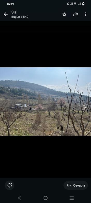 İzmir Kemalpaşa Damlacık 'ta müstakil tapulu4.460m2 arazi 5000000 TL