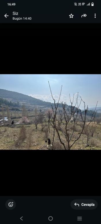 İzmir Kemalpaşa Damlacık 'ta müstakil tapulu4.460m2 arazi 5000000 TL