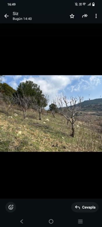 İzmir Kemalpaşa Damlacık 'ta müstakil tapulu4.460m2 arazi 5000000 TL
