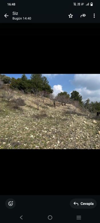 İzmir Kemalpaşa Damlacık 'ta müstakil tapulu4.460m2 arazi 5000000 TL