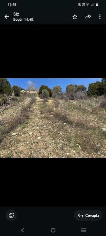 İzmir Kemalpaşa Damlacık 'ta müstakil tapulu4.460m2 arazi 5000000 TL