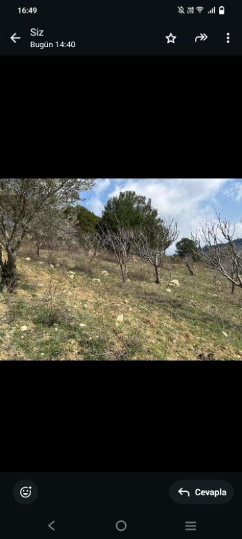 İzmir Kemalpaşa Damlacık 'ta müstakil tapulu4.460m2 arazi 5000000 TL