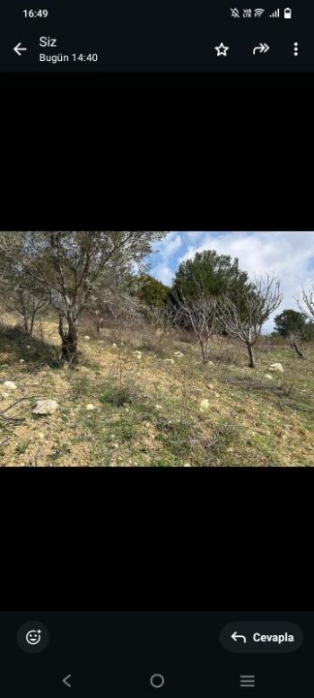 İzmir Kemalpaşa Damlacık 'ta müstakil tapulu4.460m2 arazi 5000000 TL