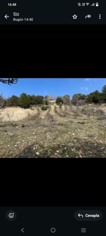 İzmir Kemalpaşa Damlacık 'ta müstakil tapulu4.460m2 arazi 5000000 TL