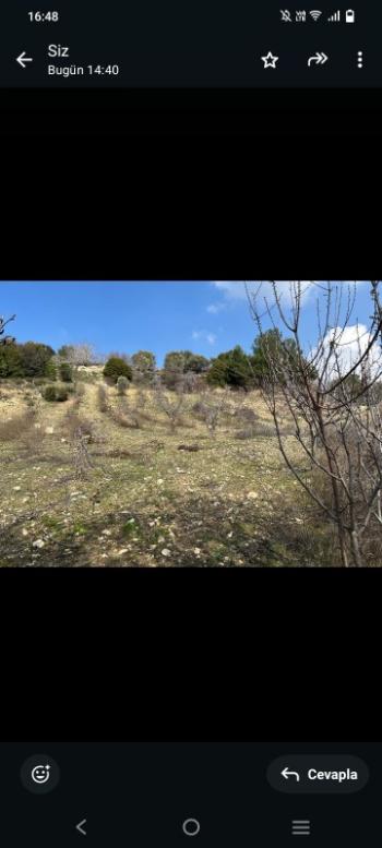 İzmir Kemalpaşa Damlacık 'ta müstakil tapulu4.460m2 arazi 5000000 TL